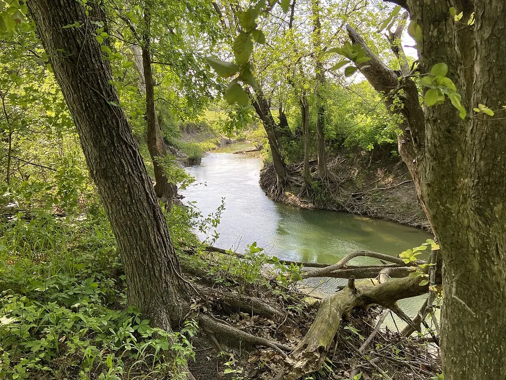Rowlett Creek winding through trees in Oak Point Park, Plano, Texas